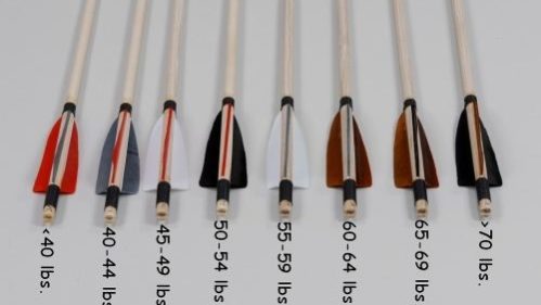 Sportpfeile mit Spinewerten